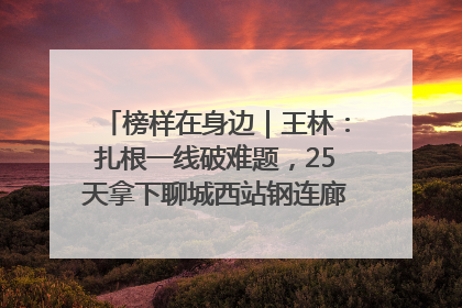 榜样在身边｜王林：扎根一线破难题，25天拿下聊城西站钢连廊“硬核”工程