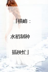 横峰：水稻制种插秧忙