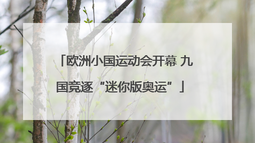 欧洲小国运动会开幕 九国竞逐“迷你版奥运”