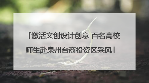 激活文创设计创意 百名高校师生赴泉州台商投资区采风