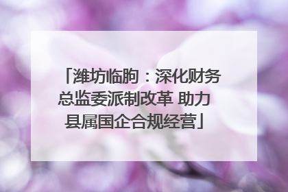 潍坊临朐：深化财务总监委派制改革 助力县属国企合规经营