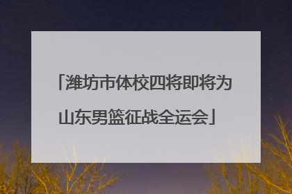 潍坊市体校四将即将为山东男篮征战全运会