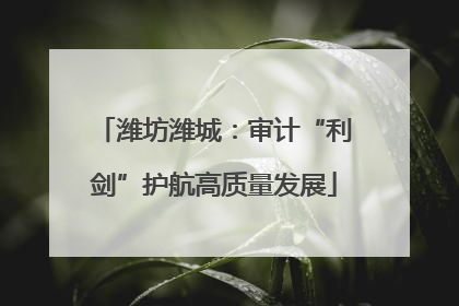 潍坊潍城：审计“利剑”护航高质量发展