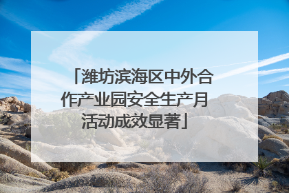 潍坊滨海区中外合作产业园安全生产月活动成效显著