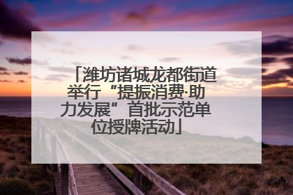 潍坊诸城龙都街道举行“提振消费·助力发展”首批示范单位授牌活动