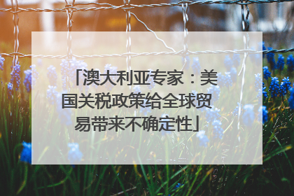 澳大利亚专家：美国关税政策给全球贸易带来不确定性