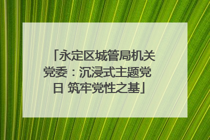 永定区城管局机关党委：沉浸式主题党日 筑牢党性之基