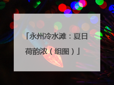 永州冷水滩：夏日荷韵浓（组图）