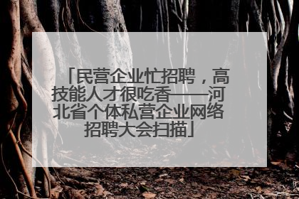 民营企业忙招聘，高技能人才很吃香——河北省个体私营企业网络招聘大会扫描