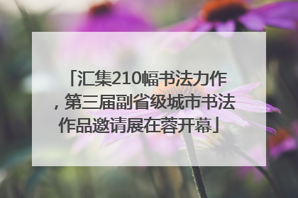 汇集210幅书法力作，第三届副省级城市书法作品邀请展在蓉开幕