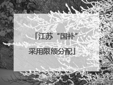 江苏“国补”采用限额分配