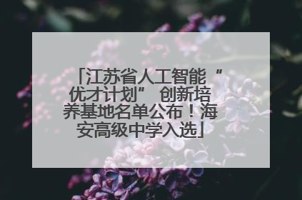 江苏省人工智能“优才计划” 创新培养基地名单公布！海安高级中学入选