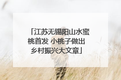 江苏无锡阳山水蜜桃首发 小桃子做出乡村振兴大文章