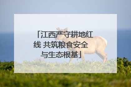 江西严守耕地红线 共筑粮食安全与生态根基