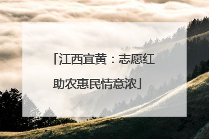江西宜黄：志愿红助农惠民情意浓