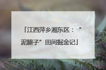 江西萍乡湘东区：“泥腿子”田间掘金记