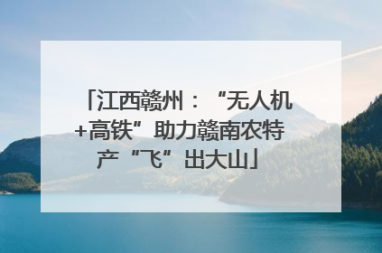 江西赣州：“无人机+高铁”助力赣南农特产“飞”出大山