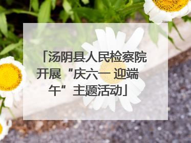 汤阴县人民检察院开展“庆六一 迎端午”主题活动