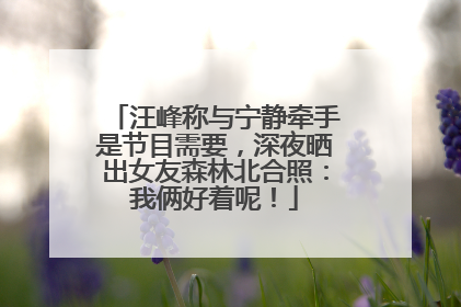汪峰称与宁静牵手是节目需要，深夜晒出女友森林北合照：我俩好着呢！