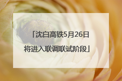 沈白高铁5月26日将进入联调联试阶段