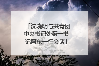 沈晓明与共青团中央书记处第一书记阿东一行会谈