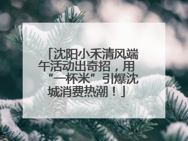 沈阳小禾清风端午活动出奇招，用“一杯米”引爆沈城消费热潮！