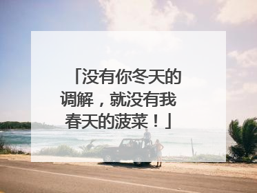 没有你冬天的调解，就没有我春天的菠菜！