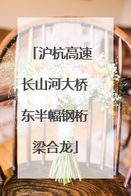 沪杭高速长山河大桥东半幅钢桁梁合龙