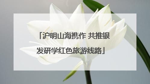 沪明山海携作 共推银发研学红色旅游线路