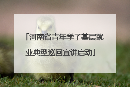 河南省青年学子基层就业典型巡回宣讲启动