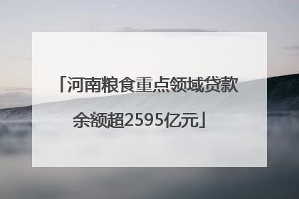 河南粮食重点领域贷款余额超2595亿元
