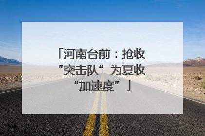 河南台前：抢收“突击队”为夏收“加速度”