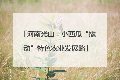 河南光山：小西瓜“撬动”特色农业发展路