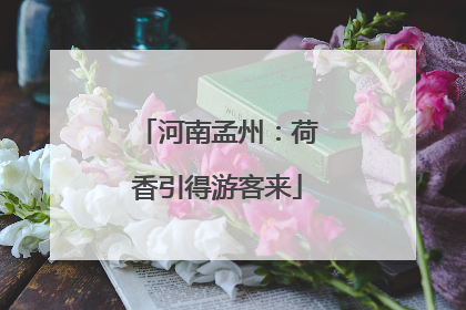 河南孟州：荷香引得游客来