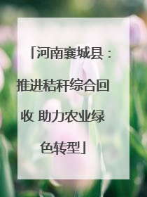 河南襄城县：推进秸秆综合回收 助力农业绿色转型