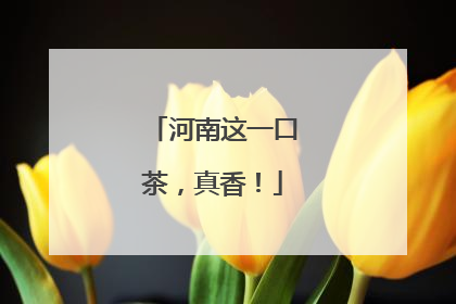 河南这一口茶，真香！