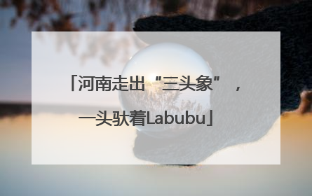 河南走出“三头象”，一头驮着Labubu
