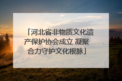 河北省非物质文化遗产保护协会成立 凝聚合力守护文化根脉