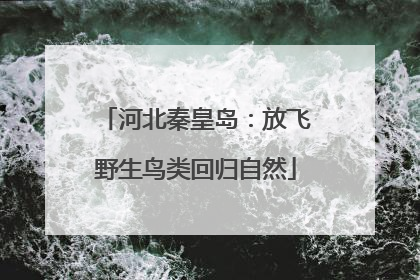 河北秦皇岛：放飞野生鸟类回归自然