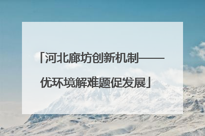 河北廊坊创新机制——优环境解难题促发展
