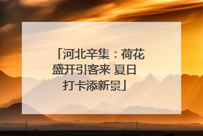 河北辛集：荷花盛开引客来 夏日打卡添新景