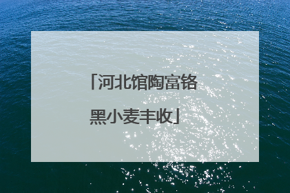 河北馆陶富铬黑小麦丰收