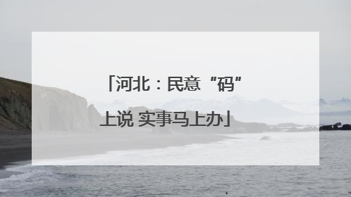 河北：民意“码”上说 实事马上办