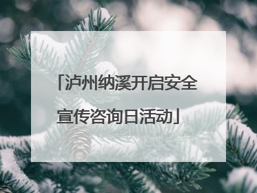 泸州纳溪开启安全宣传咨询日活动