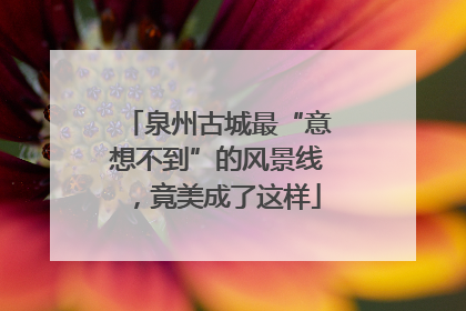 泉州古城最“意想不到”的风景线，竟美成了这样