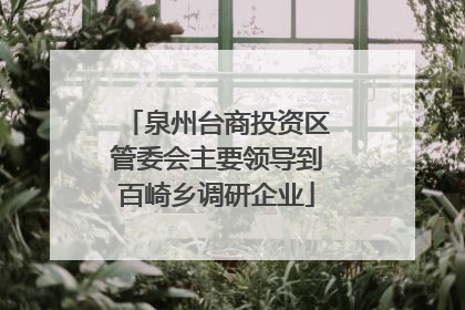 泉州台商投资区管委会主要领导到百崎乡调研企业