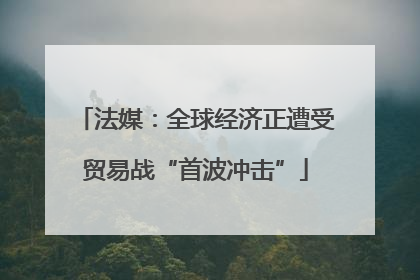 法媒：全球经济正遭受贸易战“首波冲击”