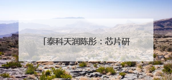 泰科天润陈彤：芯片研发是一场比拼耐力的马拉松｜湘商，向上⑤