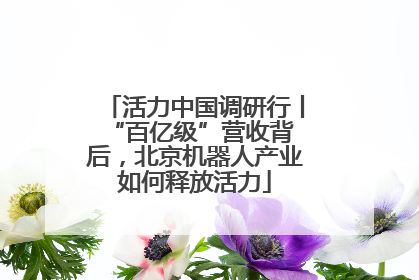 活力中国调研行丨 “百亿级”营收背后，北京机器人产业如何释放活力