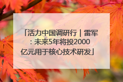 活力中国调研行｜雷军：未来5年将投2000亿元用于核心技术研发